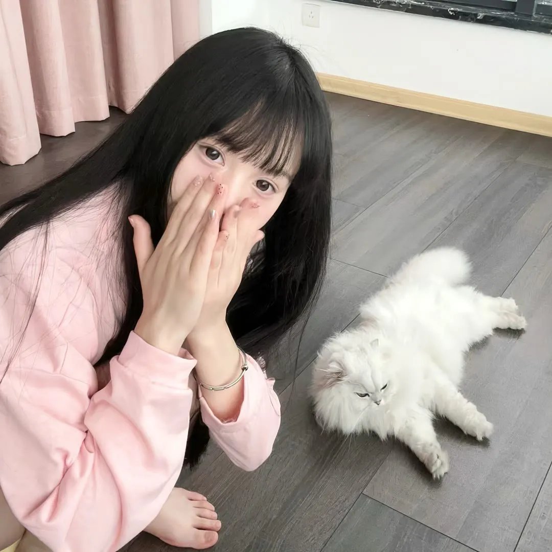 五台山儿女英雄传